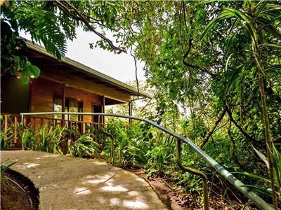 Hotel Jaguarundi Lodge