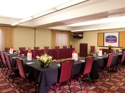 Hotel Springhill Suites By Marriott