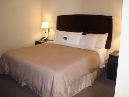 Hotel Homewood Suites By Hilton Sarasota