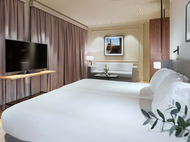 Hotel H10 Palacio Colomera