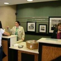 Hotel Hampton Inn Bloomington West