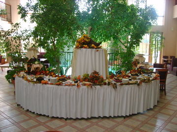 Hotel Holiday Inn Brownsville
