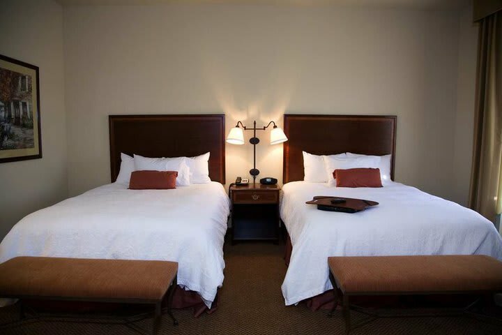 Hotel Hampton Inn Suites Baton Rouge