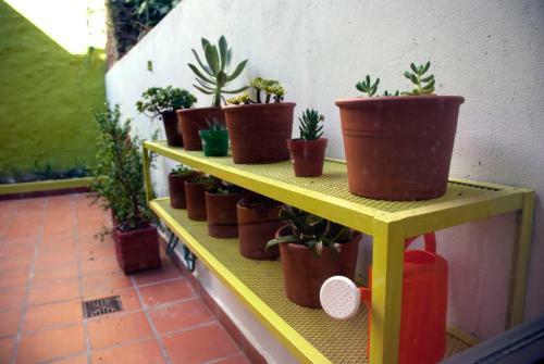 Apartamento Palermo Loft