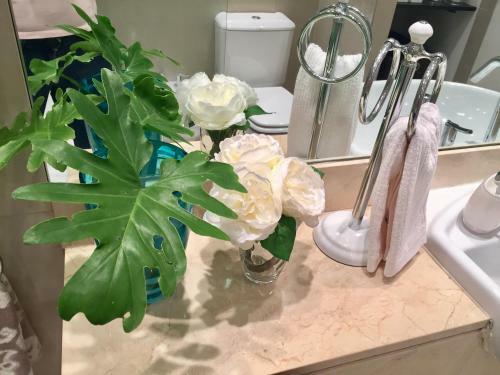 Luxury Apartment Tagle