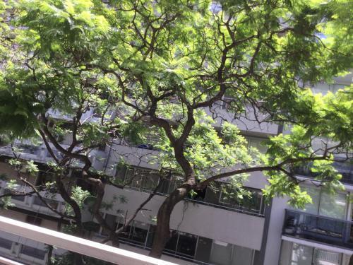 Apartamento Araoz 2055