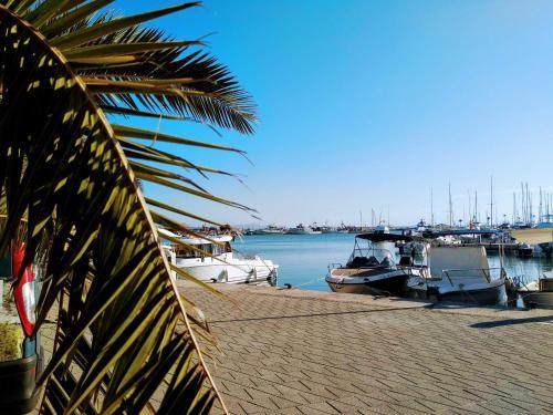Apartamento Appartement Marti Alcudia