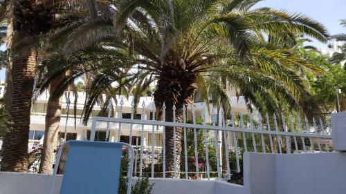 Apartamento Atlantic Royal Studio