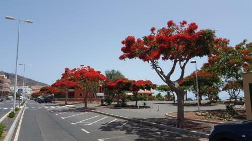 Adeje Playa Paraiso Villa
