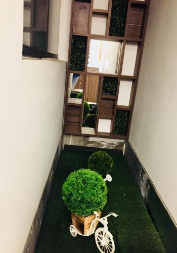 Hostal Pati�o