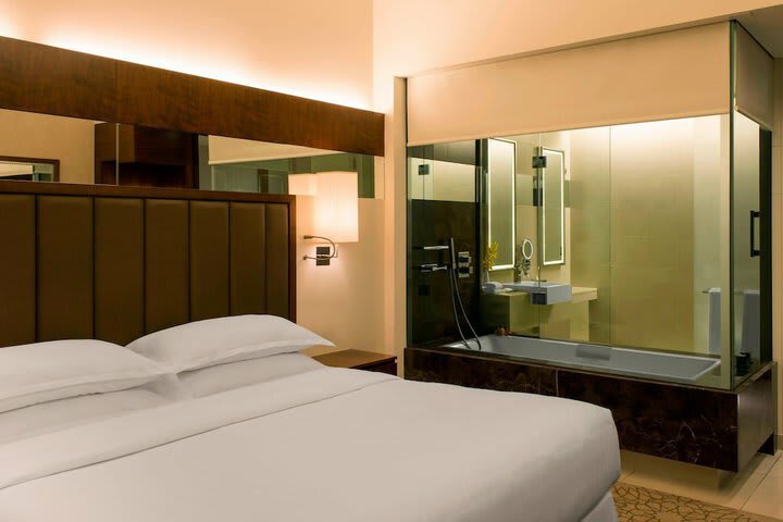 Hotel Pullman Mall Of The Emirates