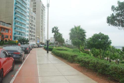 Black Shark Apartments