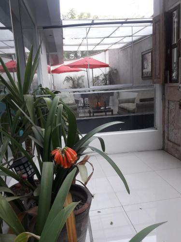 Hotel Laelia Miraflores