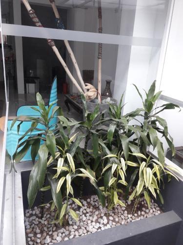Hotel Laelia Miraflores