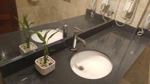 Hotel Las Lomas