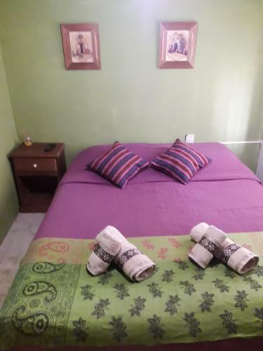 Hostal Hostel Ailen