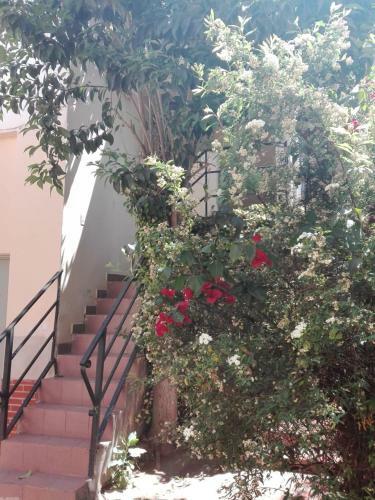 Apartamento Depto Centro