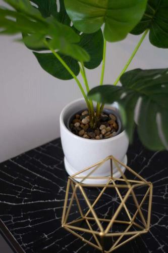 Hotel Modelo Boutique