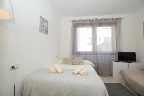 Apartamento Condor