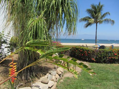 Casa Dos Dolphins Villa