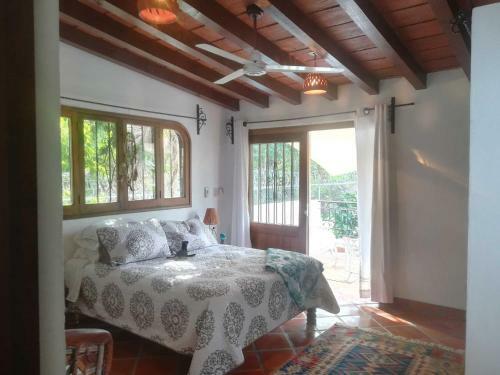 Casa Mora House Home