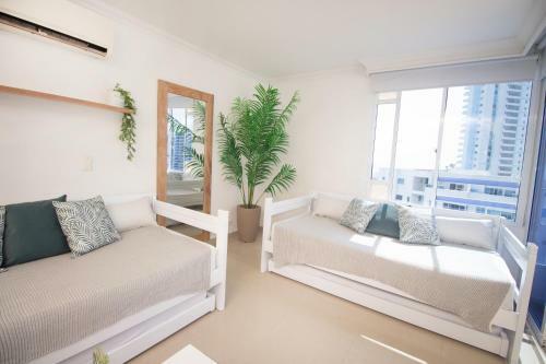 Apartamento Riviera Tropical - Livin Colombia