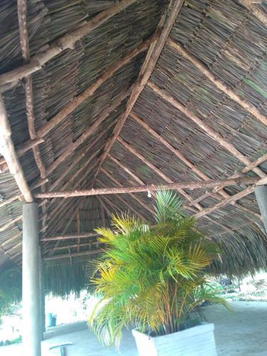 Agroturismo Casa Campestre Tipicosta