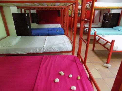 Albergue Hostal Caracoles