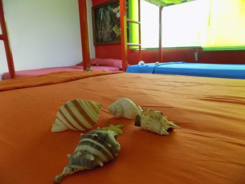 Albergue Hostal Caracoles