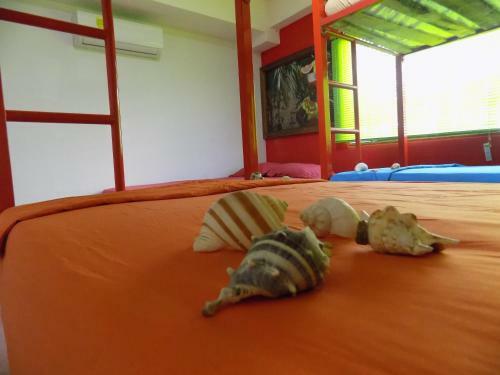 Albergue Hostal Caracoles
