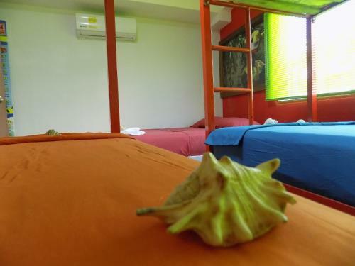 Albergue Hostal Caracoles