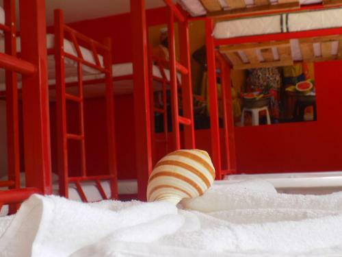 Albergue Hostal Caracoles