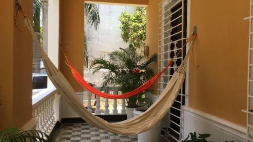 Casa Burgos