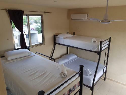 Albergue Hostal El Padrino
