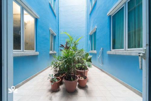 Hotel Zen Rooms 1515