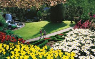 Hotel Best Western Plus Regency Inn