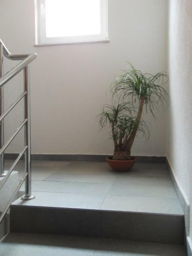 Apartment Pesic