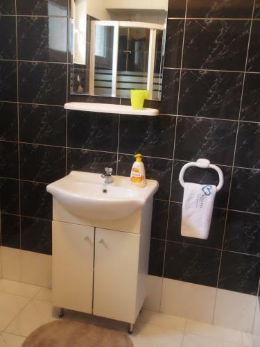 Apartment Pesic