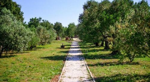 Apartment Biograd Na Moru 12827b