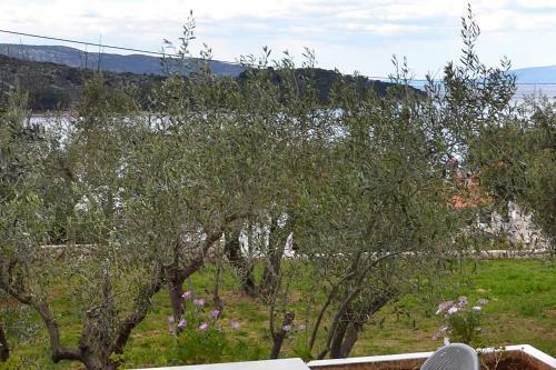 Apartment Cres 7876b
