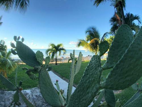 Apartamento Dickenson Bay Oasis@antiguavillage