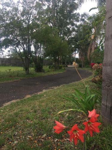 Hostel & Campamento Cafeaventura