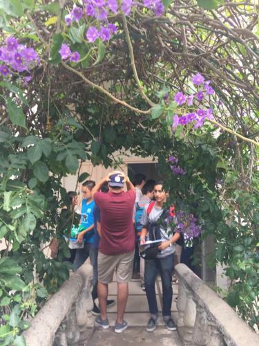 Hostel & Campamento Cafeaventura