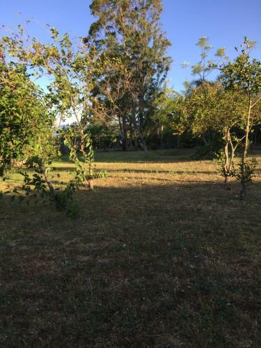 Hostel & Campamento Cafeaventura