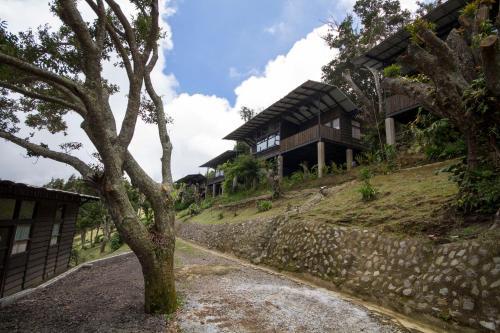 Hotel Alto Palomo