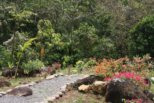 Finca Amistad Cacao Lodge