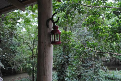 Ess�ncia Lodge