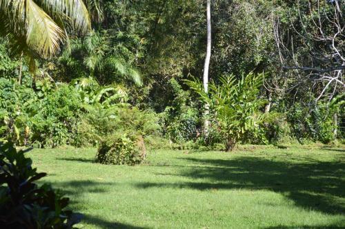 Casita Amarilla