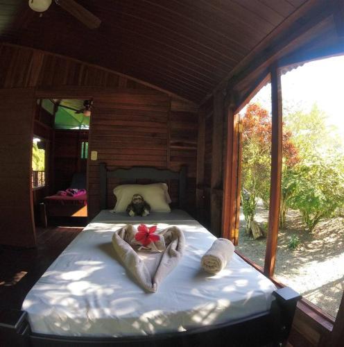 Pura Vida In Costa Rica