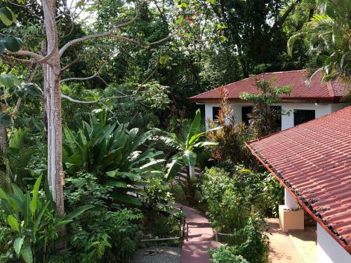 Hotel Casa Del Toucan